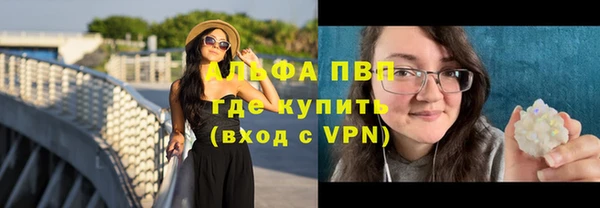 стаф Белокуриха
