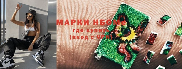 стаф Белокуриха