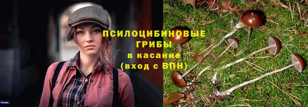 ECSTASY Белоозёрский