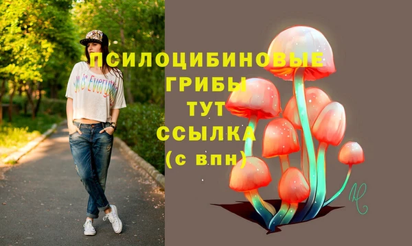ECSTASY Белоозёрский