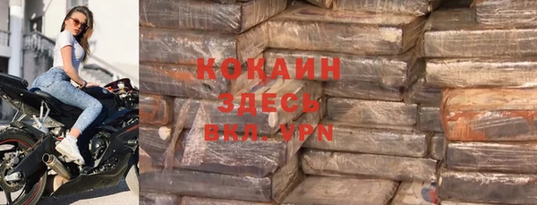 стаф Белокуриха