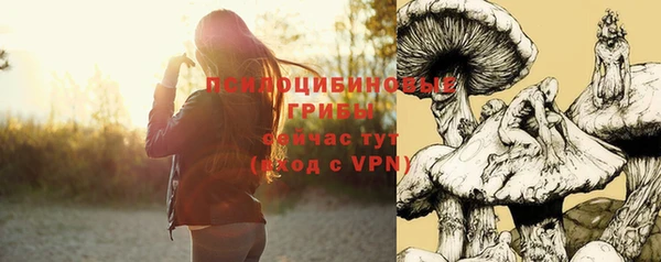 стаф Белокуриха