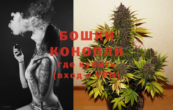 стаф Белокуриха