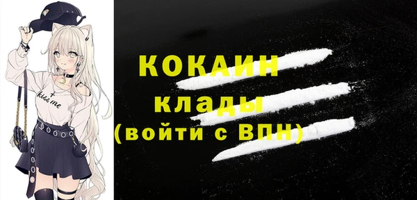 стаф Белокуриха