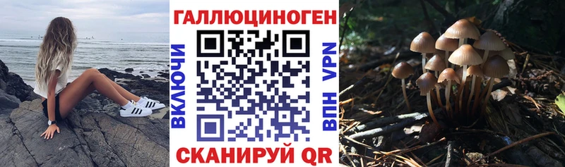 Галлюциногенные грибы ЛСД  блэк спрут ТОР  Тогучин 